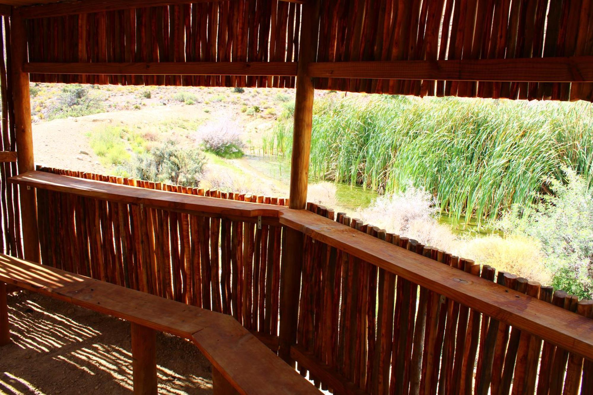Bosch Luys Kloof Nature Reserve Ladismith Exterior foto